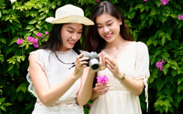 Mùa hè xanh ngát trên con đường mộng mơ