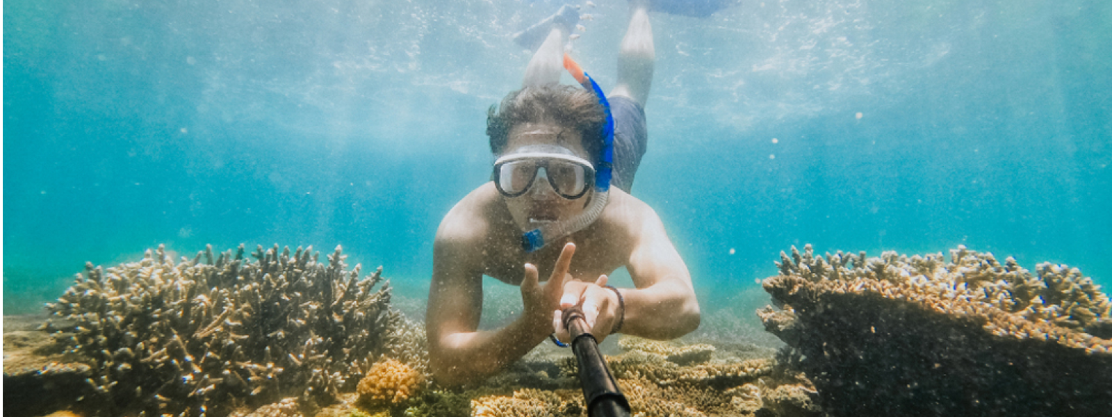 Vé lặn ngắm san hô Sơn Trà